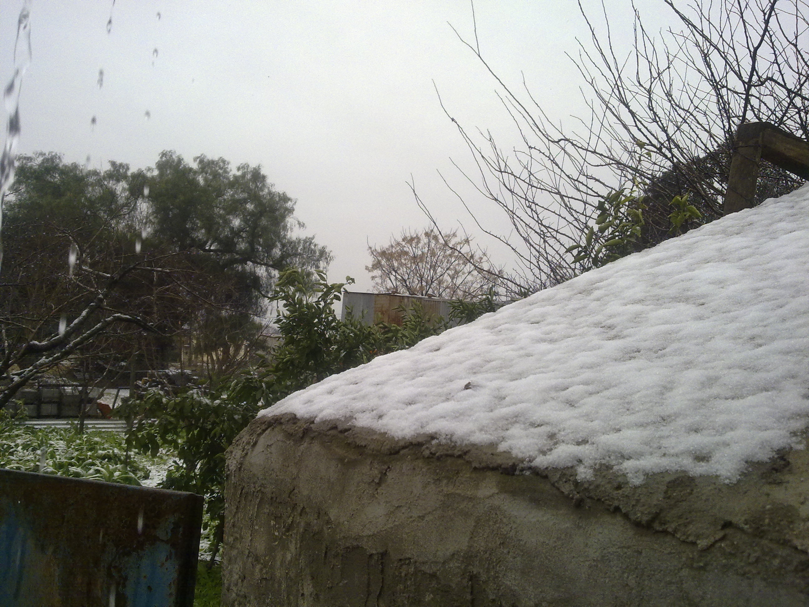 fotos/2010-07-18 - Nevada  y carneada/18072010516.jpg